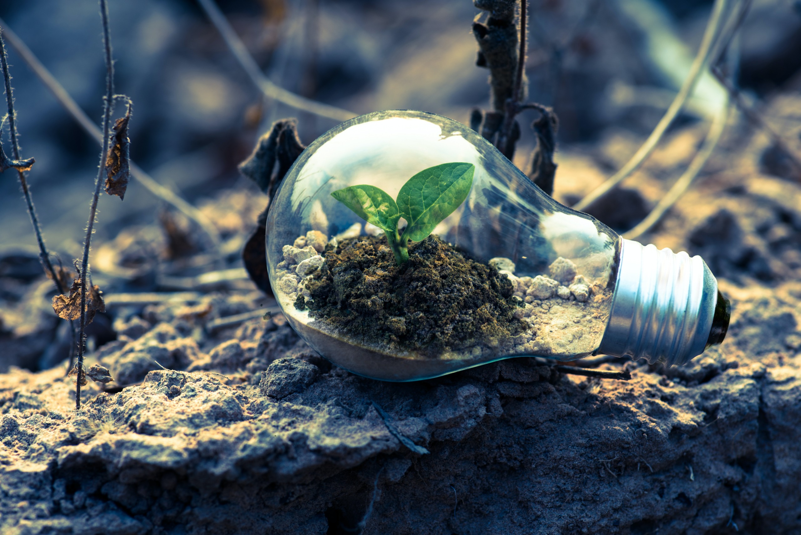Technology investment in the built environment and the path to net zero