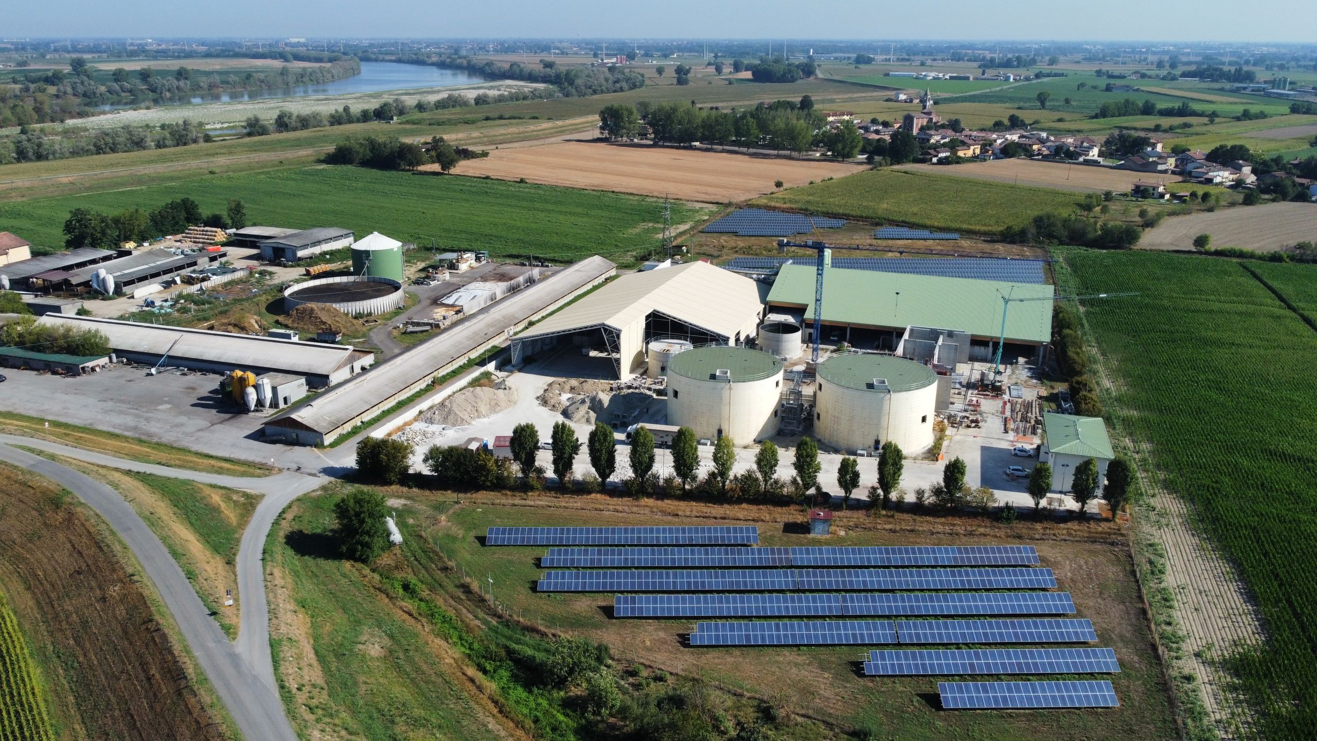 Bioenergy and its role in the energy transition