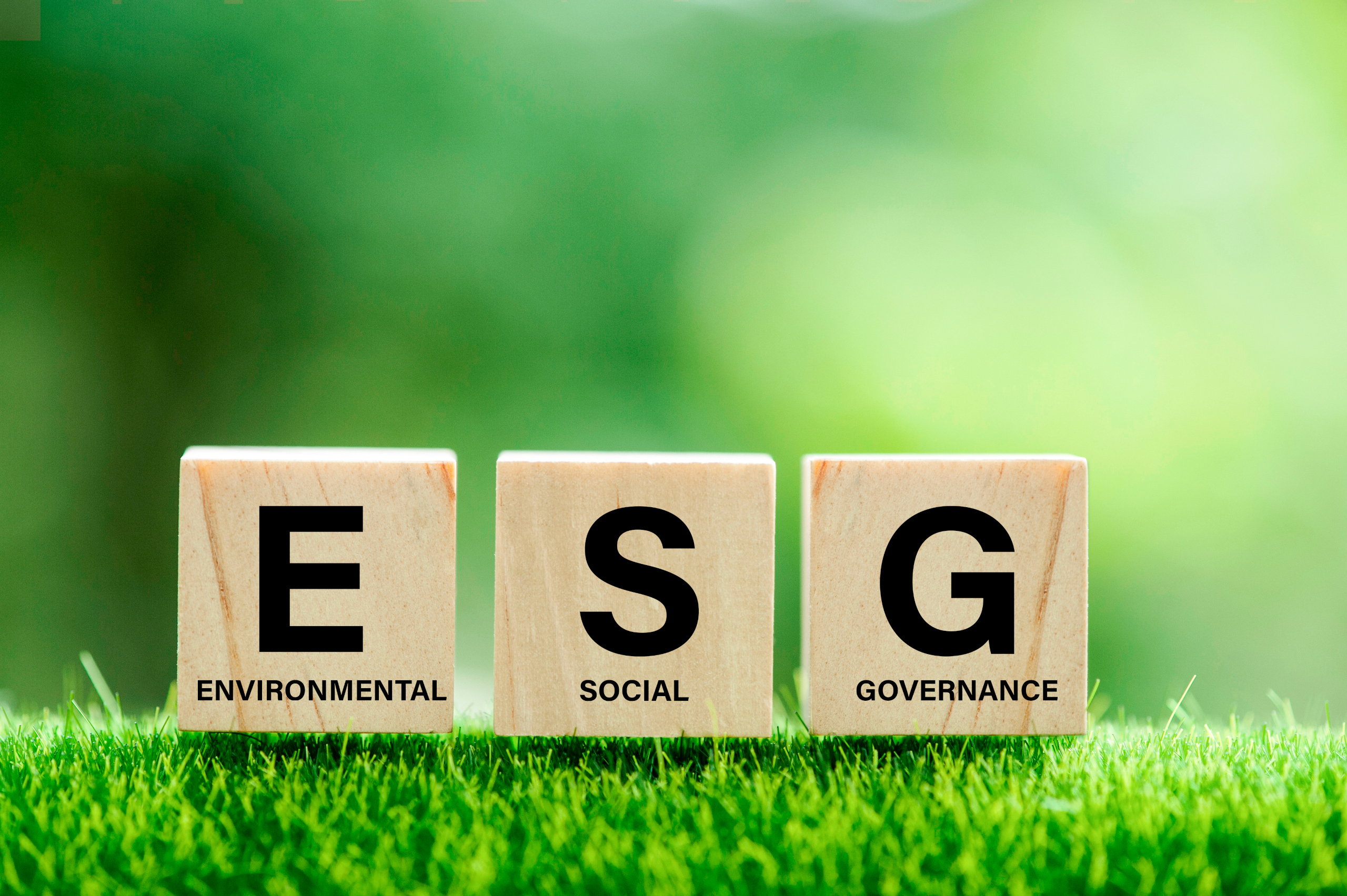 Decarbonisation promoted to an investment priority